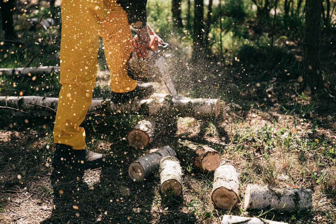 Best Tree Branch Trimming  in Port St John, FL